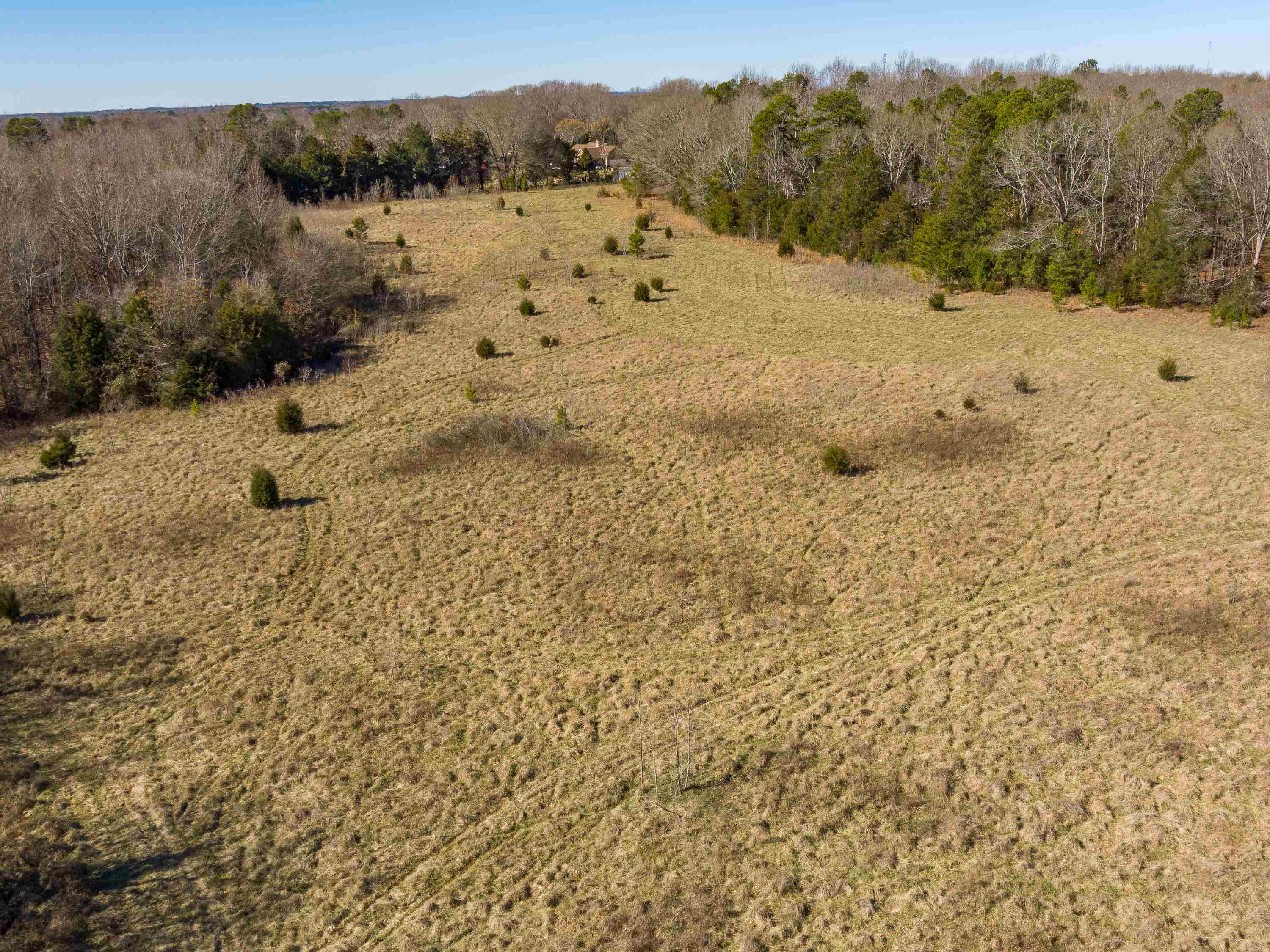 948 Rocky Ridge Road Enoree, SC 29335 - Photo 14 of 23