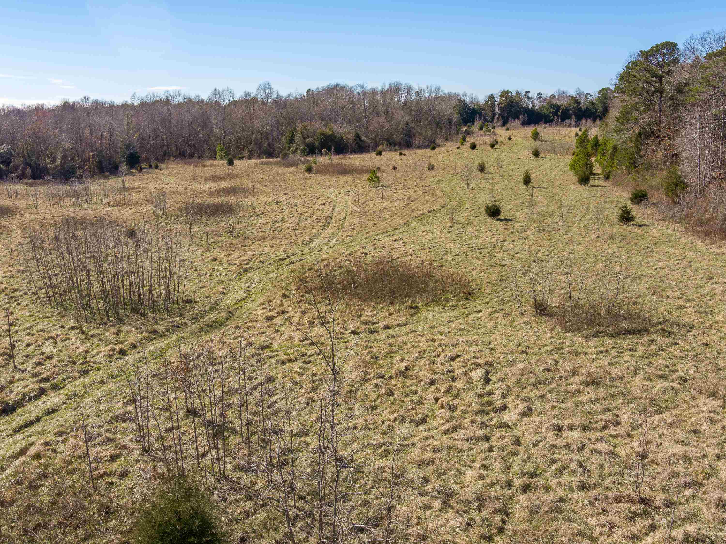 948 Rocky Ridge Road Enoree, SC 29335 - Photo 18 of 23