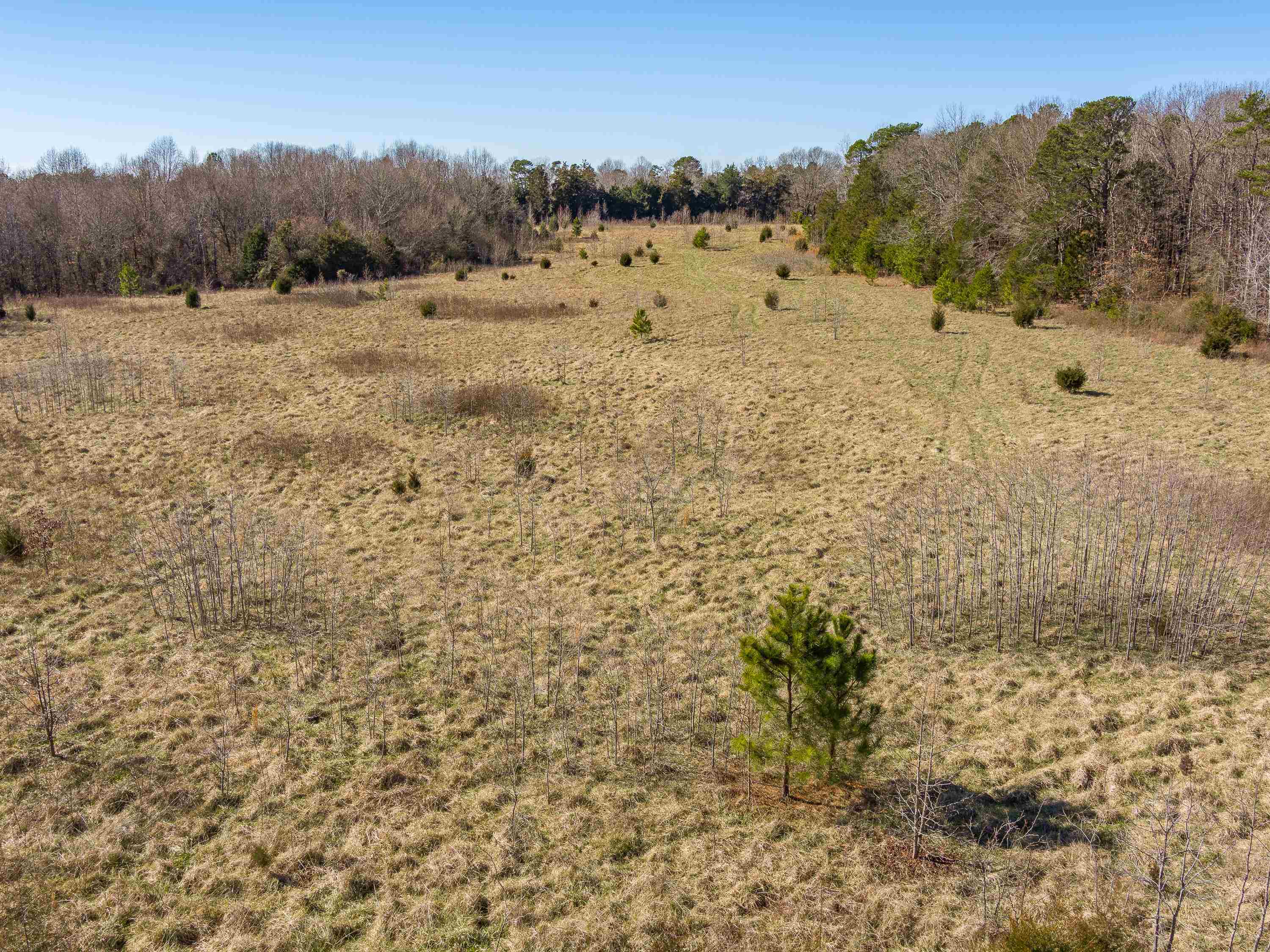 948 Rocky Ridge Road Enoree, SC 29335 - Photo 19 of 23