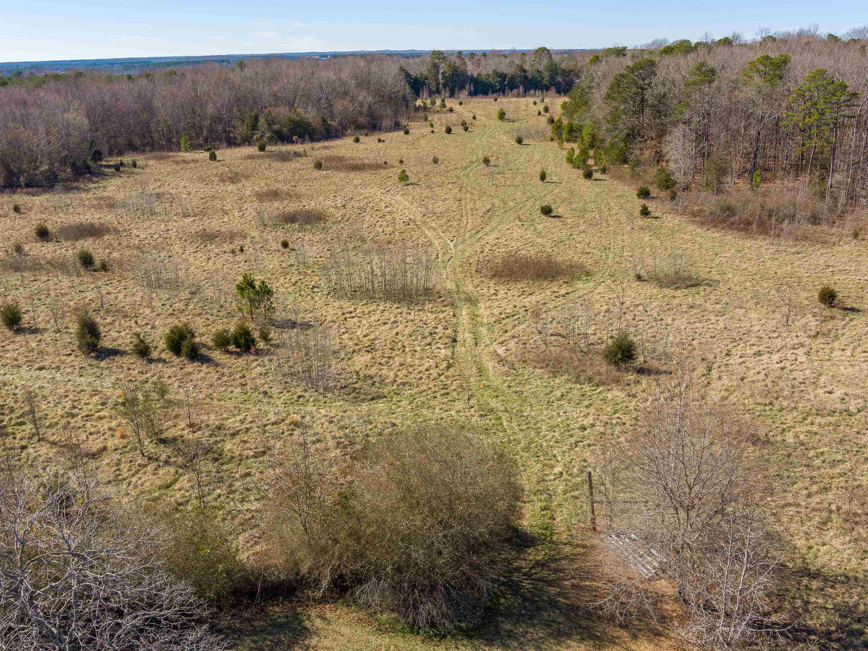 948 Rocky Ridge Road Enoree, SC 29335 - Photo 20 of 23