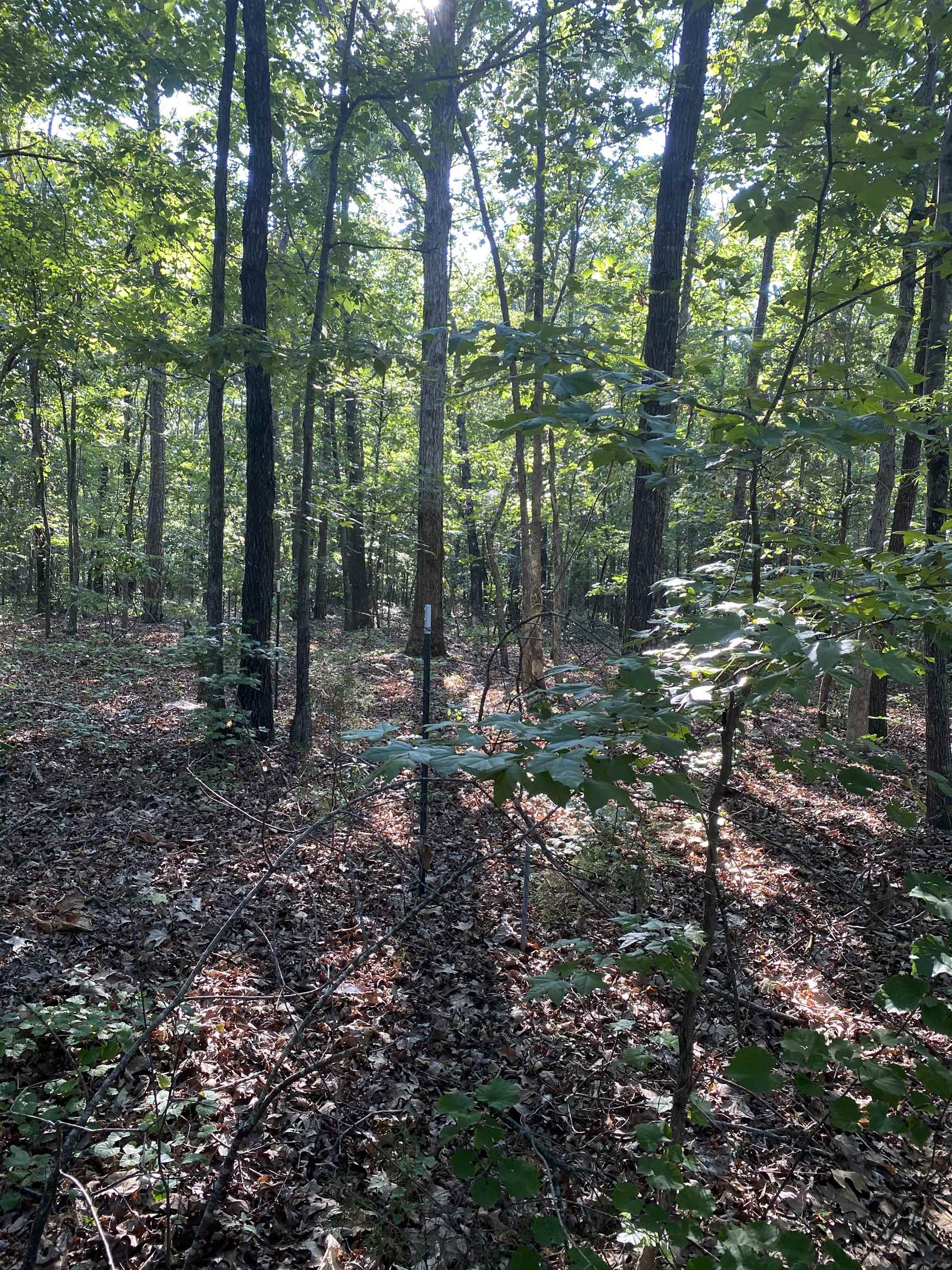948 Rocky Ridge Road Enoree, SC 29335 - Photo 2 of 23