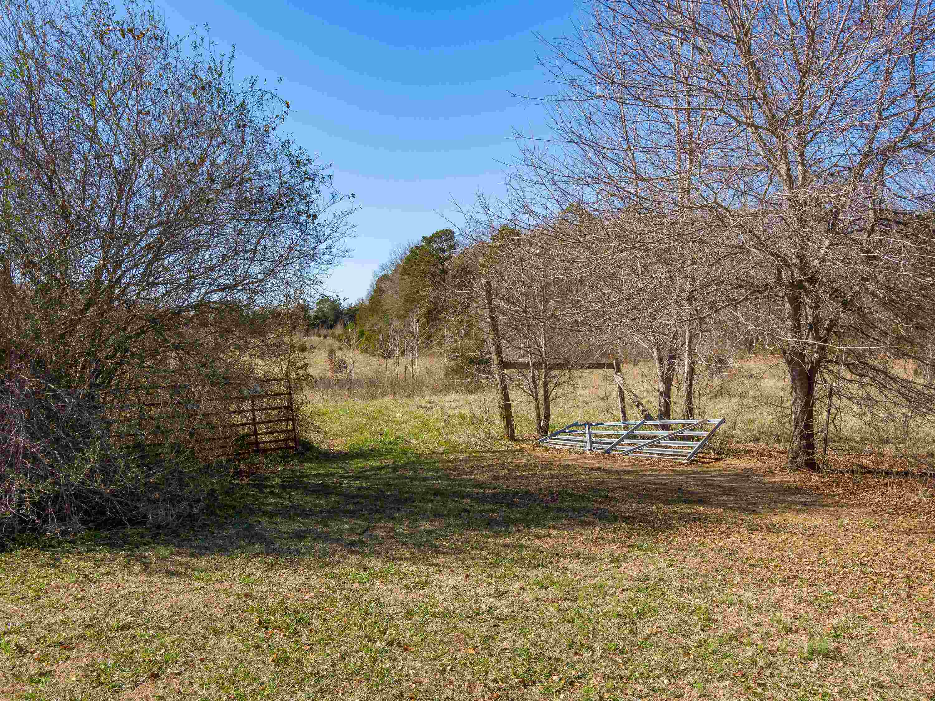 948 Rocky Ridge Road Enoree, SC 29335 - Photo 22 of 23