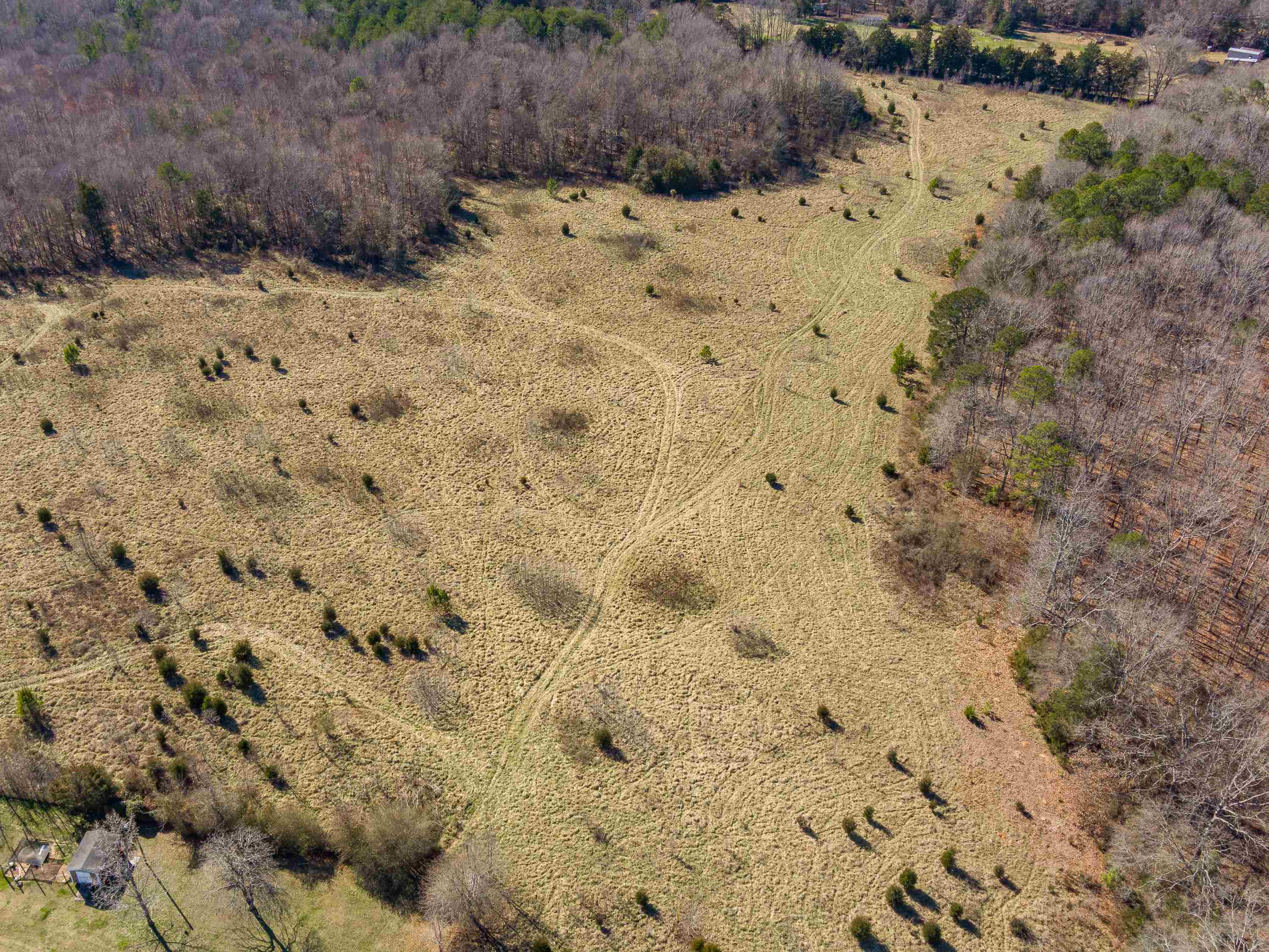 948 Rocky Ridge Road Enoree, SC 29335 - Photo 9 of 23