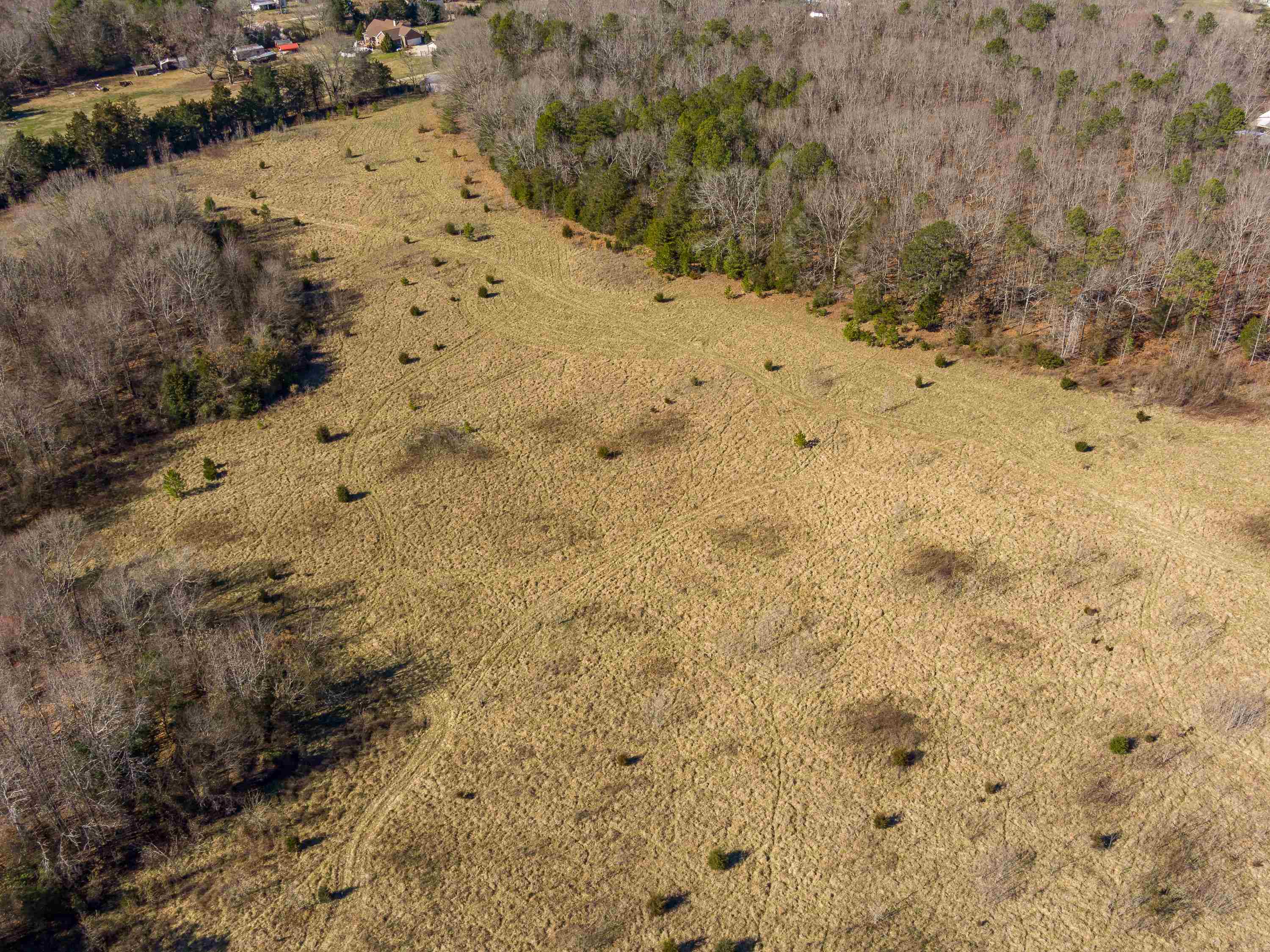 948 Rocky Ridge Road Enoree, SC 29335 - Photo 10 of 23