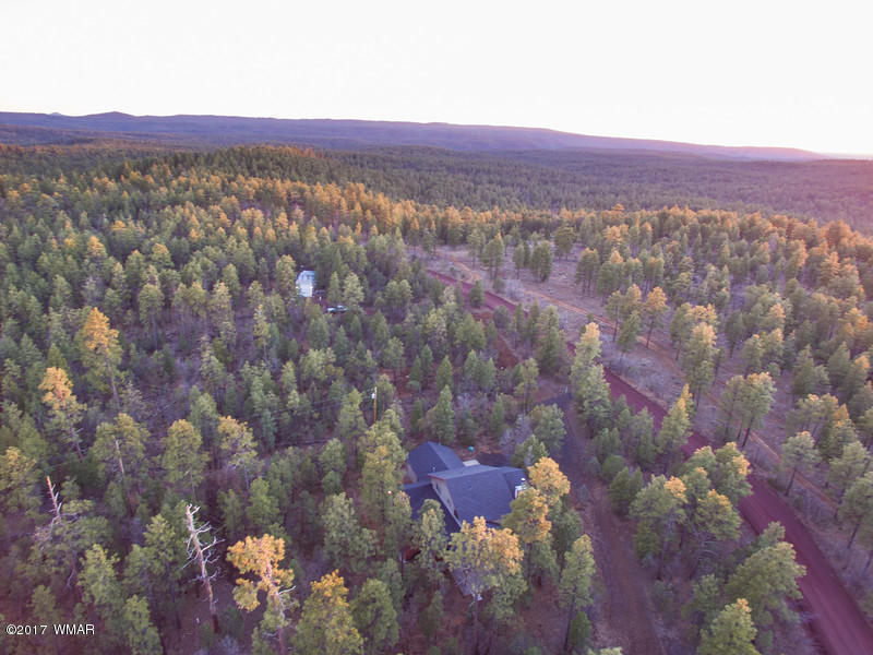 1025 West Rim Road Lakeside, AZ 85929 - Photo 5 of 65 Gallery Image 5