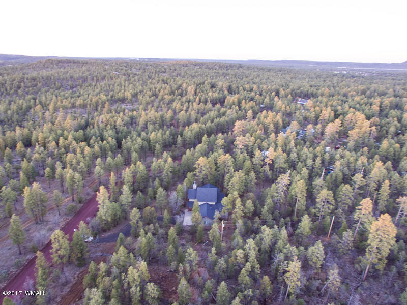 1025 West Rim Road Lakeside, AZ 85929 - Photo 6 of 65 Gallery Image 6