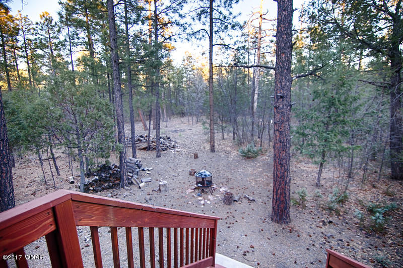 1025 West Rim Road Lakeside, AZ 85929 - Photo 63 of 65 Gallery Image 63