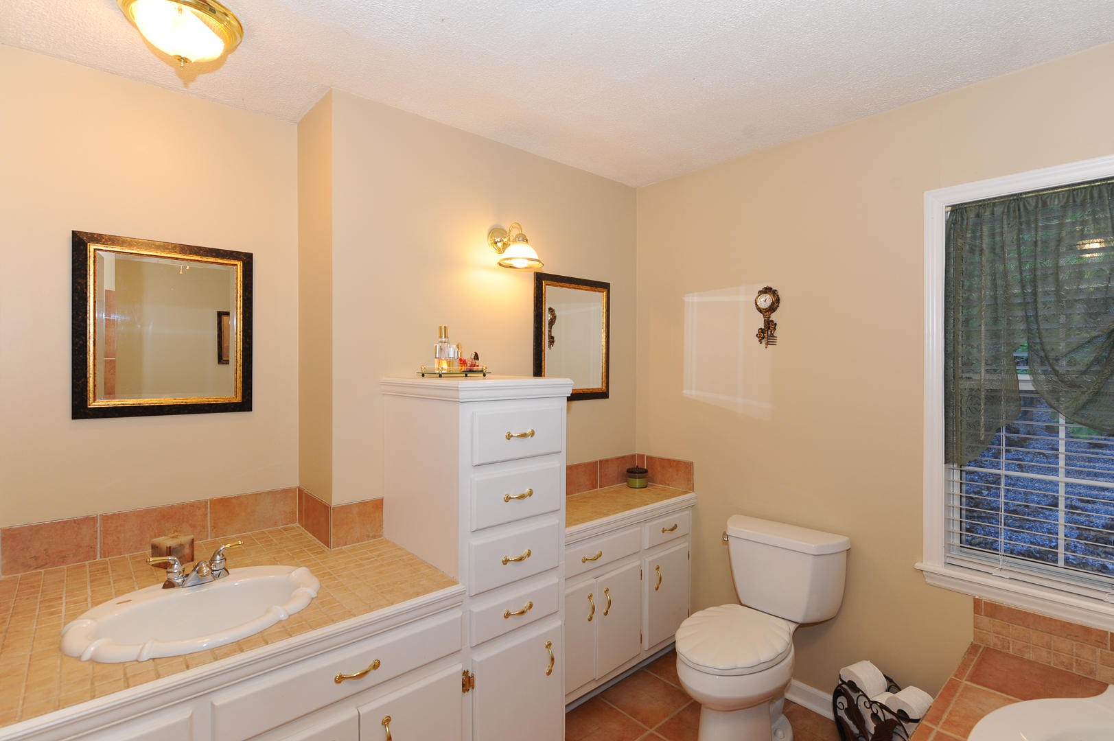 7102 Diamond Branch Road Maryville, TN 37801 - Photo 19 of 31 Gallery Image 19