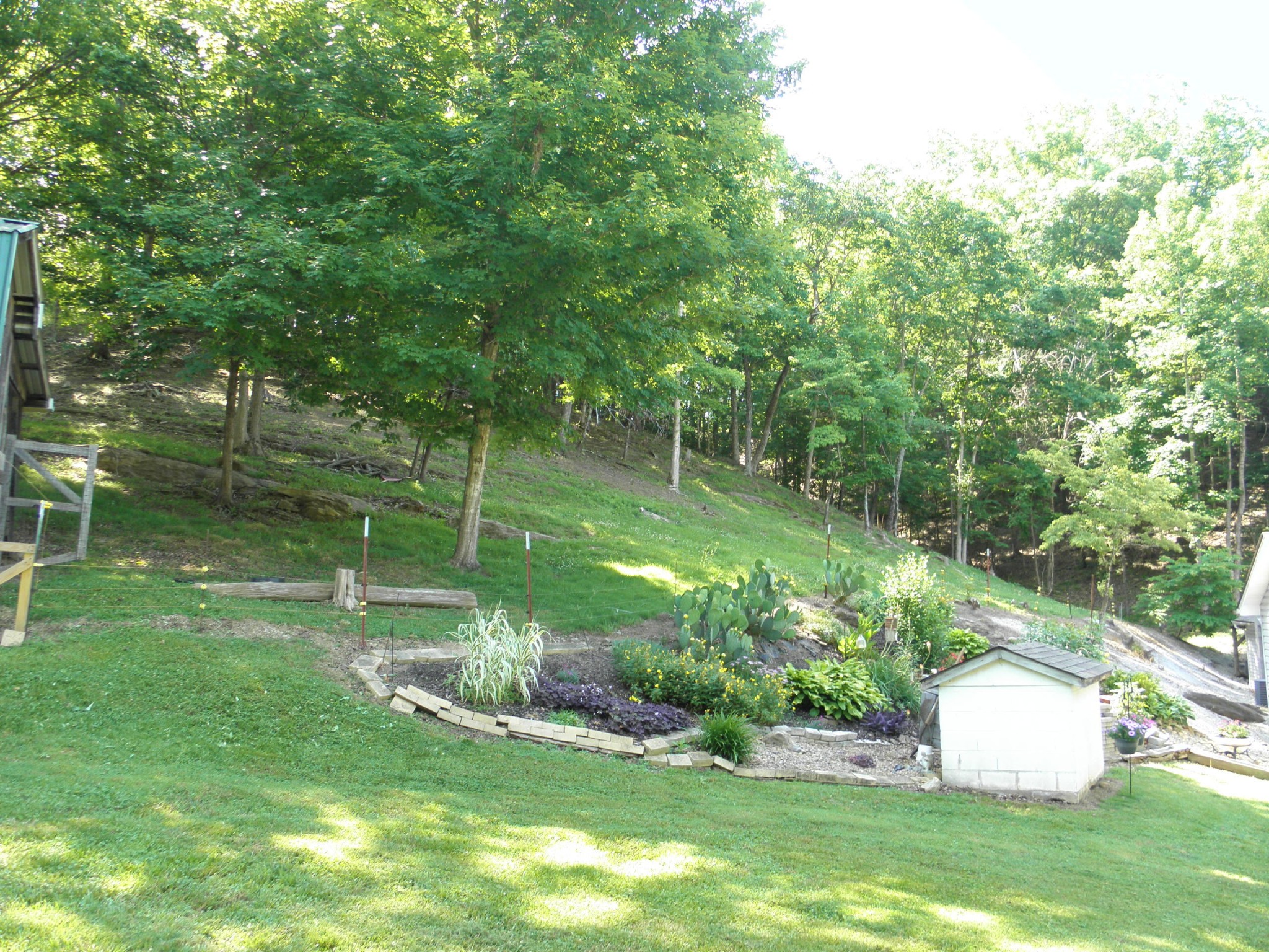 7102 Diamond Branch Road Maryville, TN 37801 - Photo 2 of 31 Gallery Image 2