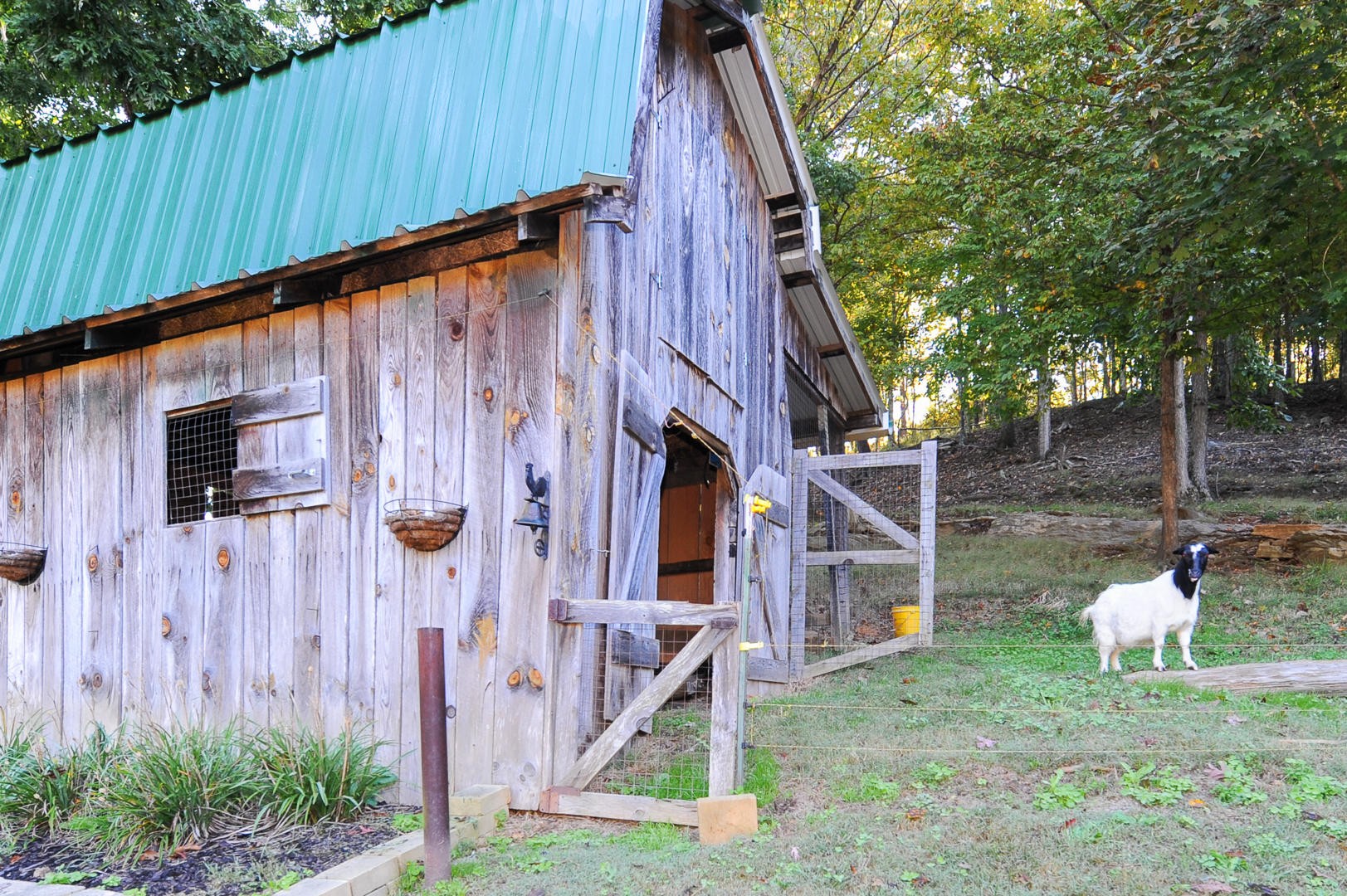 7102 Diamond Branch Road Maryville, TN 37801 - Photo 23 of 31 Gallery Image 23