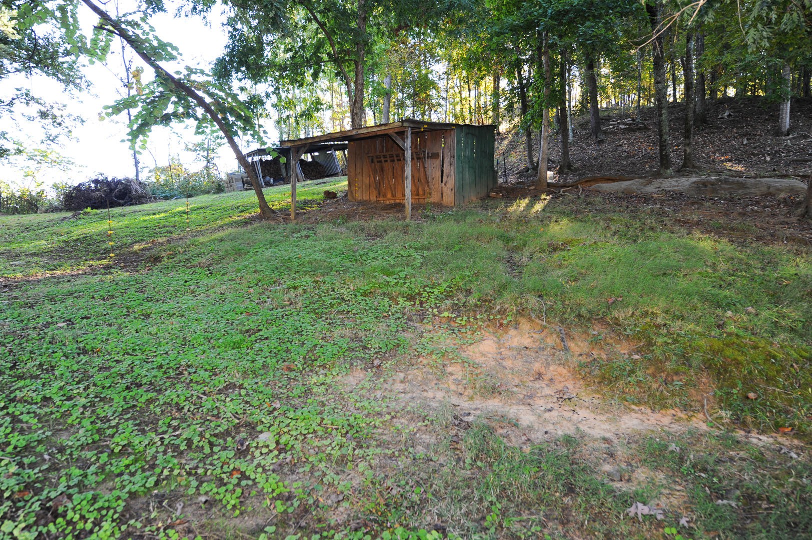7102 Diamond Branch Road Maryville, TN 37801 - Photo 25 of 31 Gallery Image 25