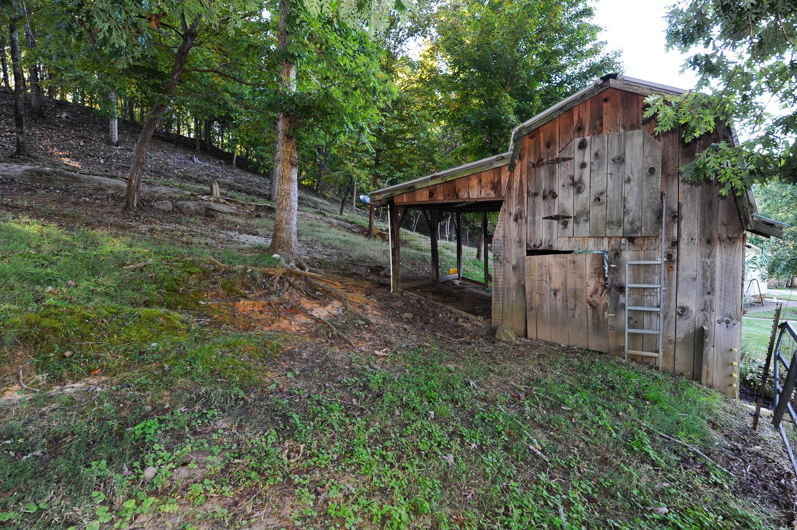 7102 Diamond Branch Road Maryville, TN 37801 - Photo 26 of 31 Gallery Image 26
