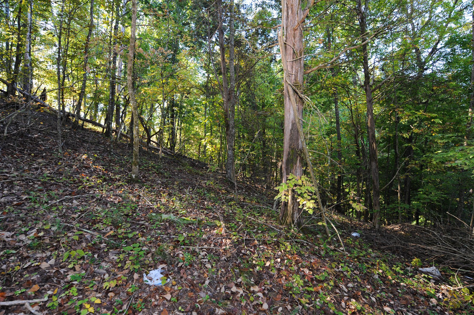 7102 Diamond Branch Road Maryville, TN 37801 - Photo 27 of 31 Gallery Image 27