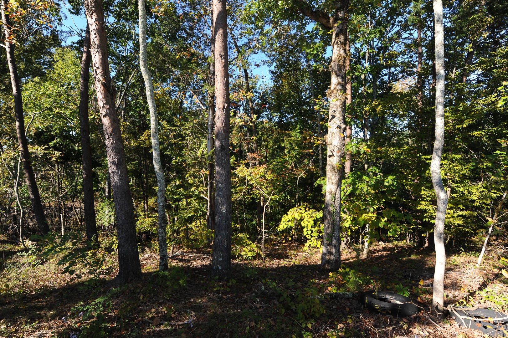7102 Diamond Branch Road Maryville, TN 37801 - Photo 28 of 31 Gallery Image 28