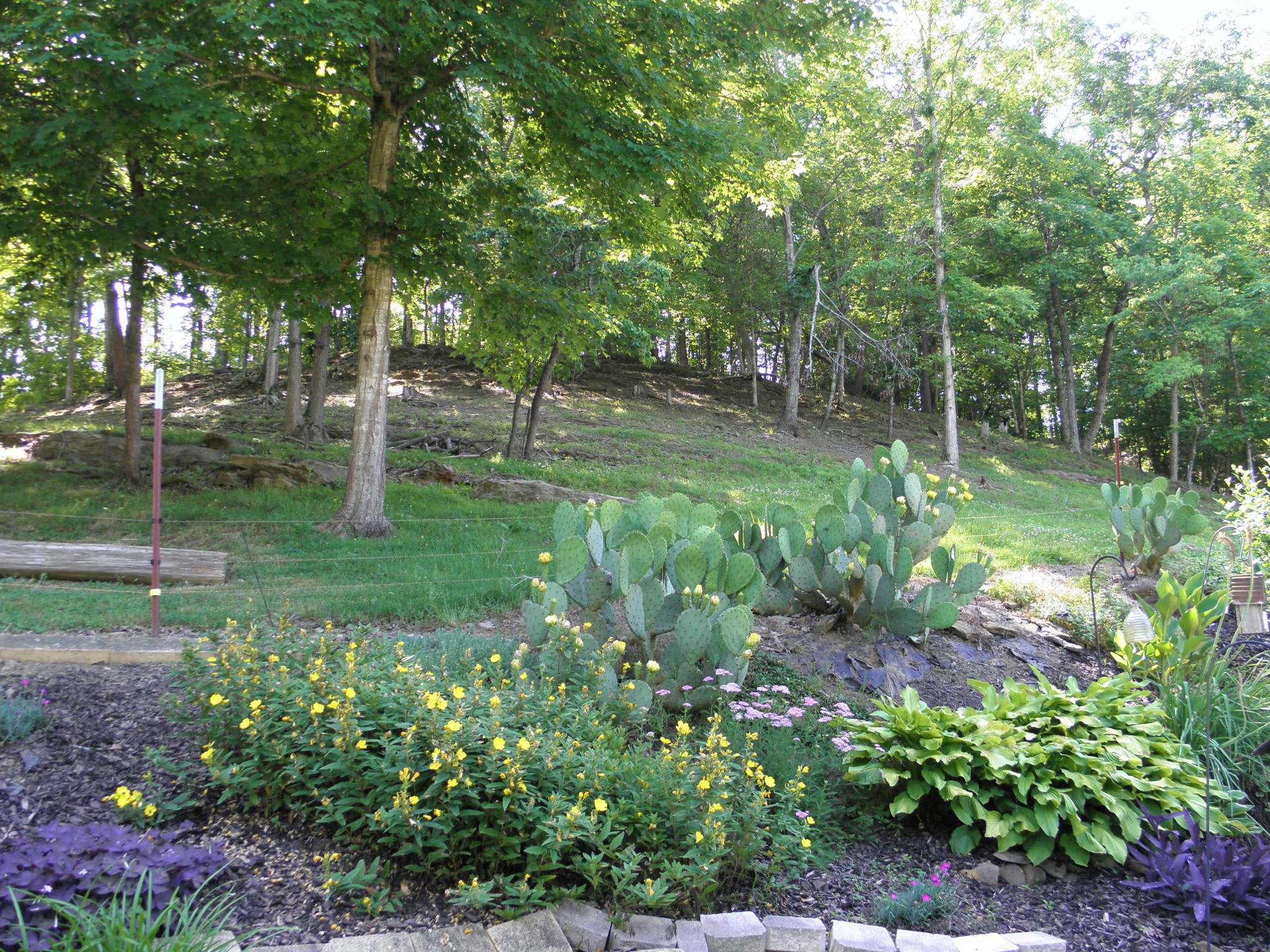 7102 Diamond Branch Road Maryville, TN 37801 - Photo 3 of 31 Gallery Image 3