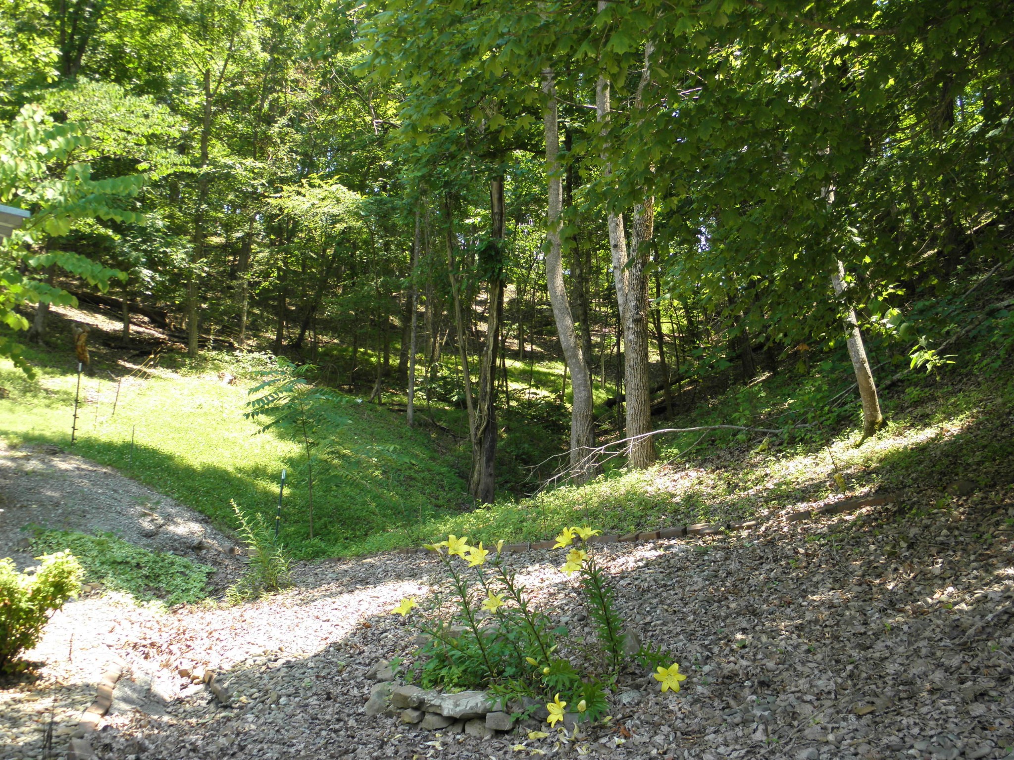 7102 Diamond Branch Road Maryville, TN 37801 - Photo 4 of 31 Gallery Image 4