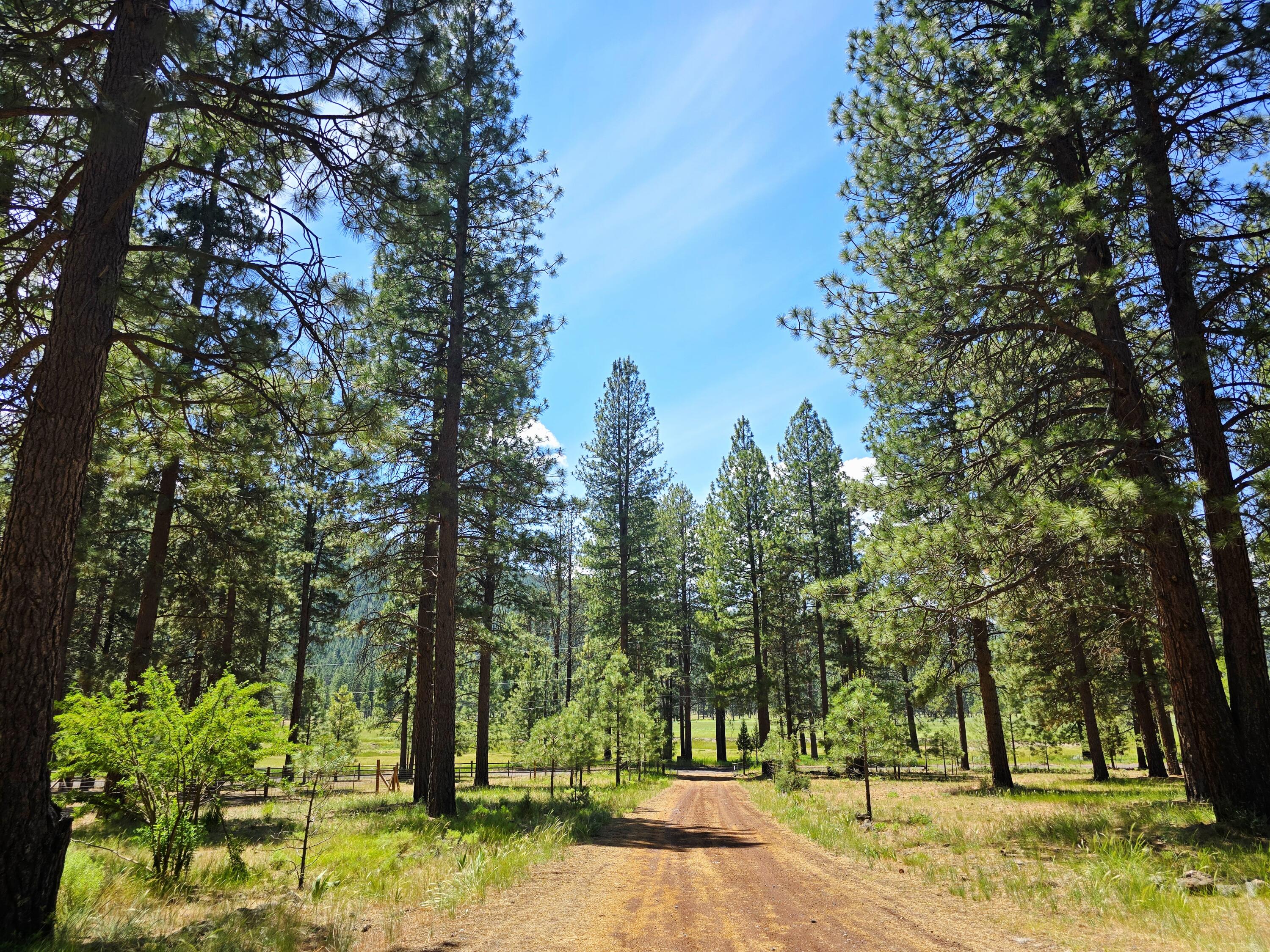 10211 Old Fort Road Klamath Falls, OR 97601 - Photo 57 of 79 Driveway