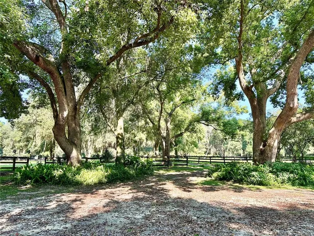 a bathroom with a granite countertop toilet a sink a mirror and a window