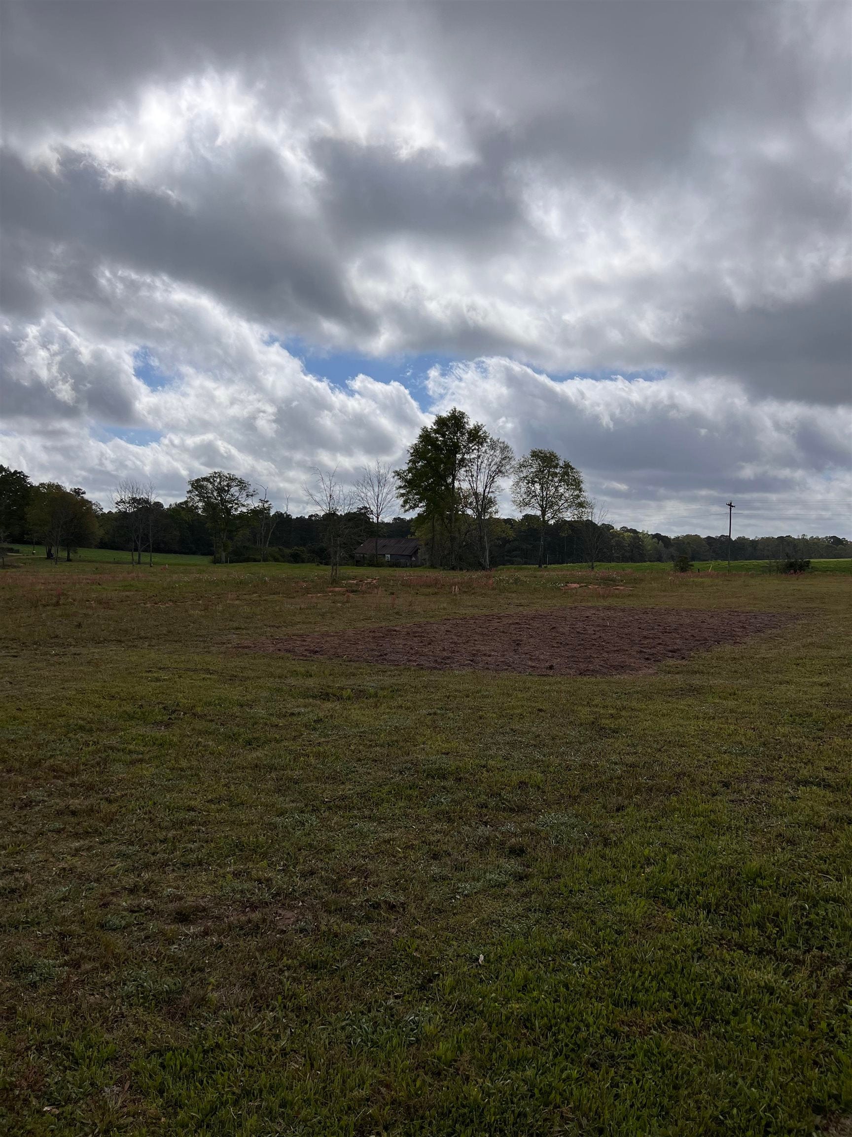 37791 Straughn School Road Dozier, AL 36028 - Photo 13 of 18 Gallery Image 13