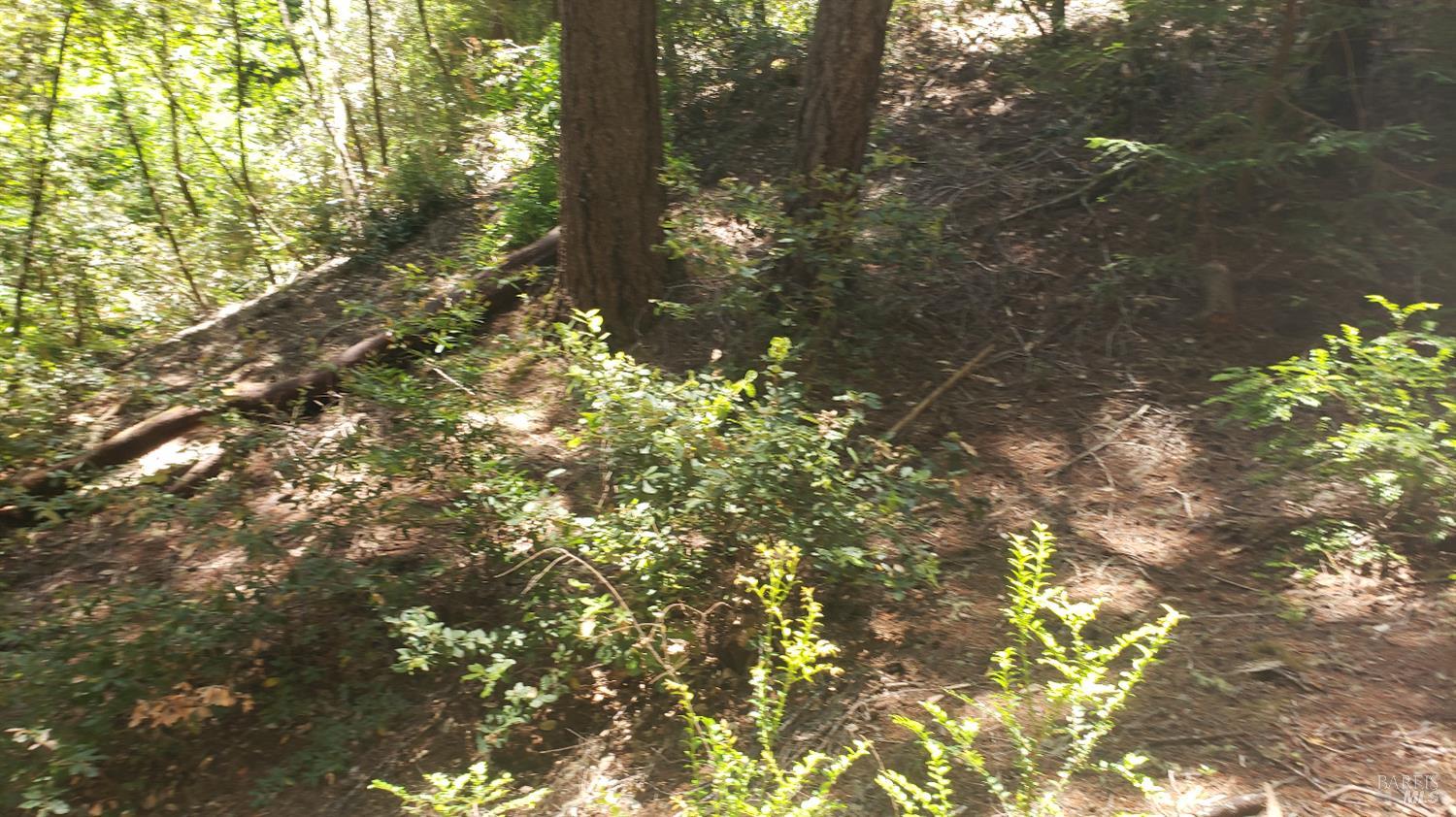 18190 Old Monte Rio Road Guerneville, CA 95446 - Photo 11 of 18 a backyard of a house