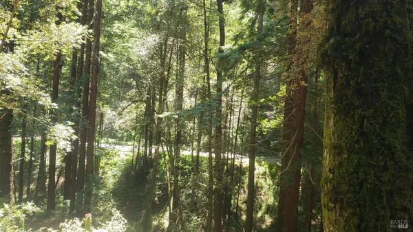 a view of outdoor from window