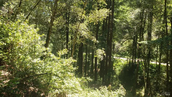 $35,000 | 18190 Old Monte Rio Road, Guerneville, CA 95446