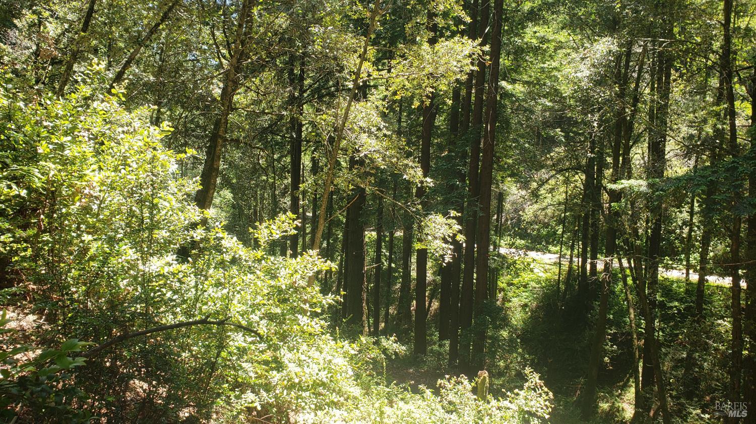 18190 Old Monte Rio Road Guerneville, CA 95446 - Photo 17 of 18