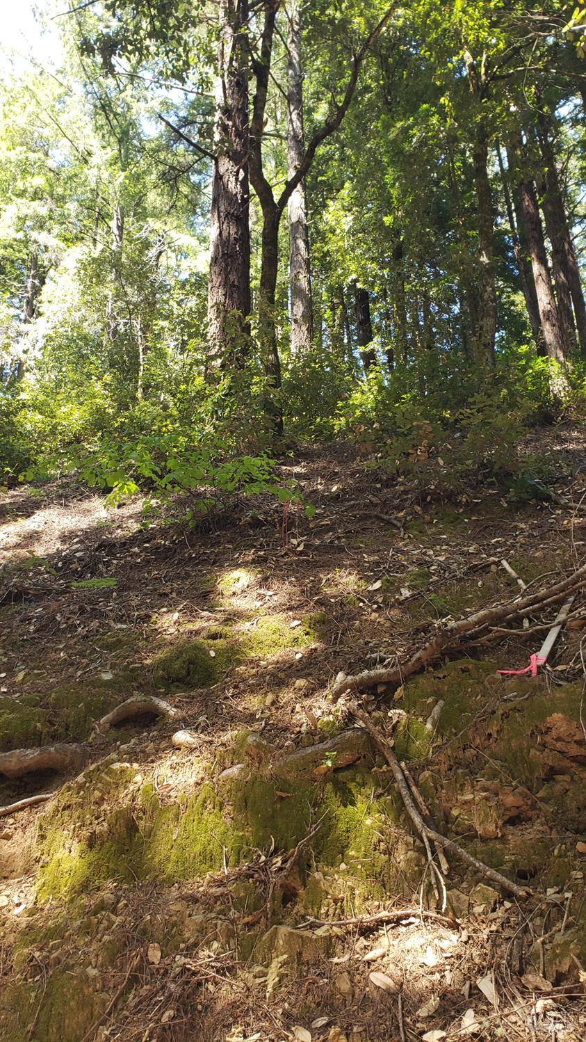 18190 Old Monte Rio Road Guerneville, CA 95446 - Photo 3 of 18