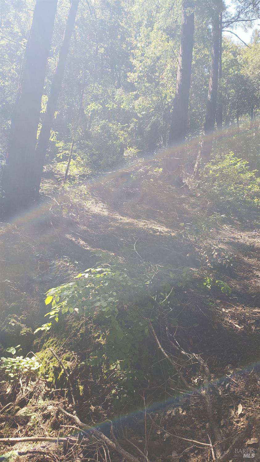 18190 Old Monte Rio Road Guerneville, CA 95446 - Photo 4 of 18 a view of a street