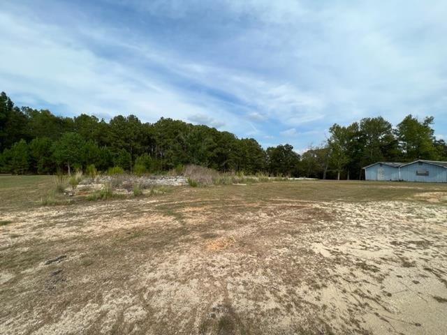 21 Highway 21 Atmore, AL 36502 - Photo 5 of 7