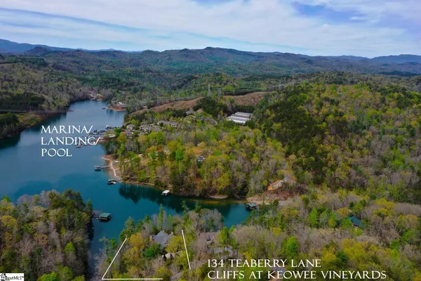 $4,250,000 | 134 Teaberry Lane, Sunset, SC 29685