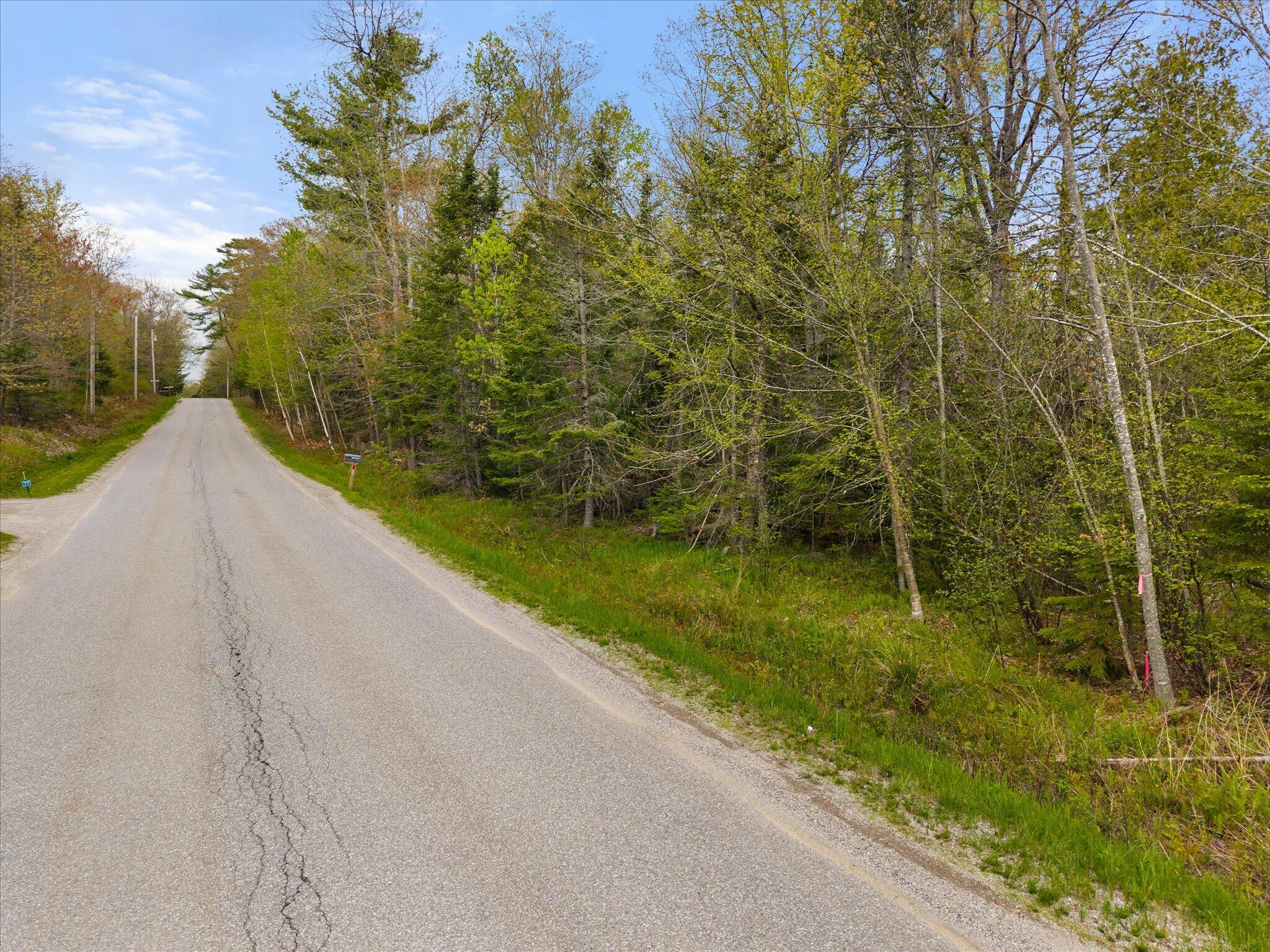 6 Map Road Orland, ME 04472 - Photo 6 of 22 Map 6, Lot 31 C Cedar Swamp Rd.