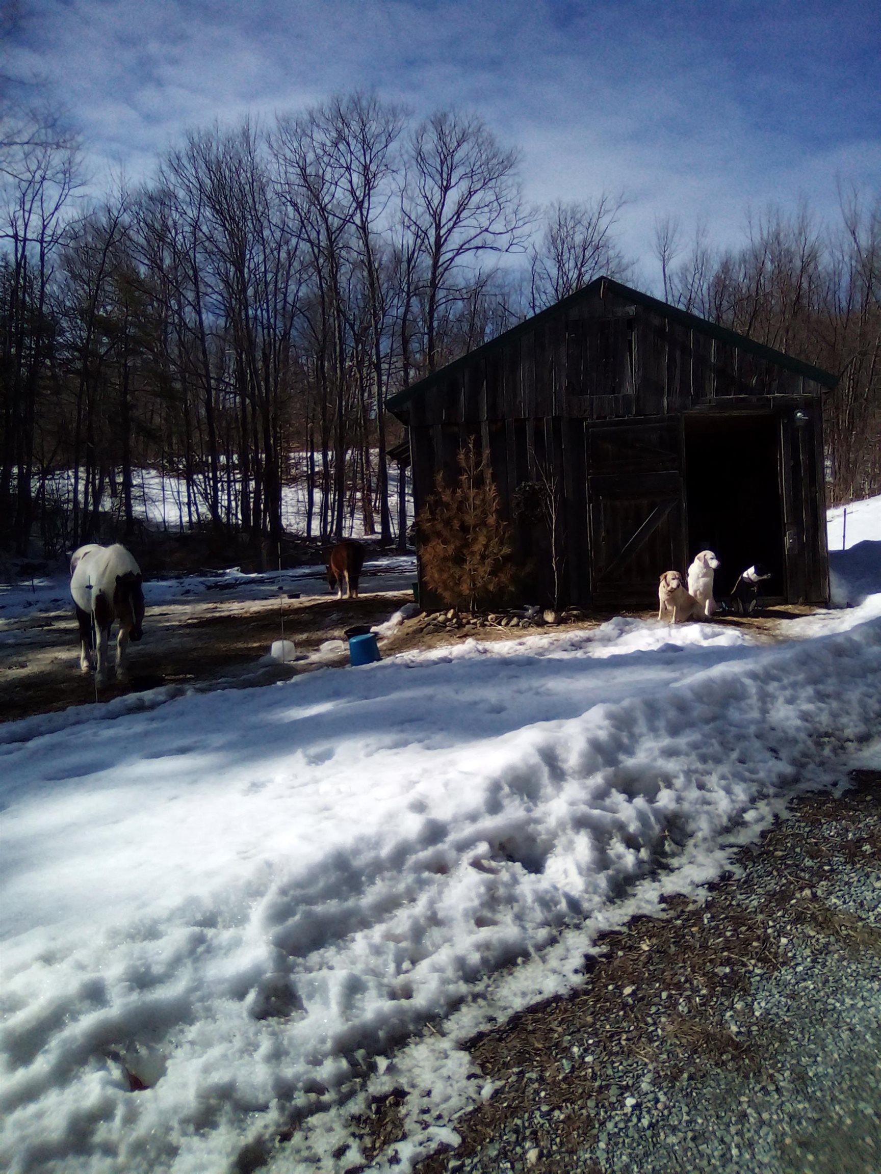 40 Gen Miller Highway Temple, NH 03084 - Photo 6 of 12