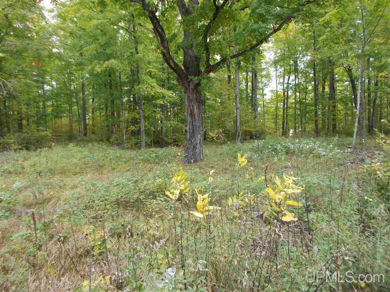50-acres Camp Nine Road Ralph, MI 49877 - Photo 6 of 12
