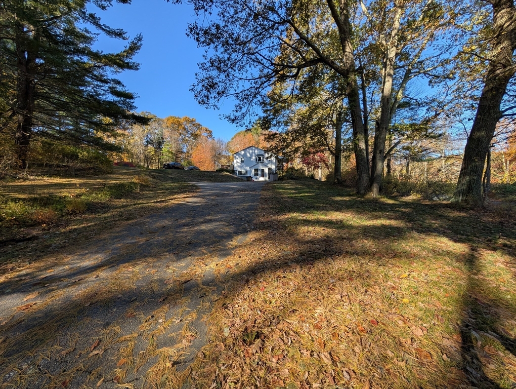7 Little Mugget Road Charlton, MA 01507 - Photo 25 of 42 a view of dirt yard with a large tree