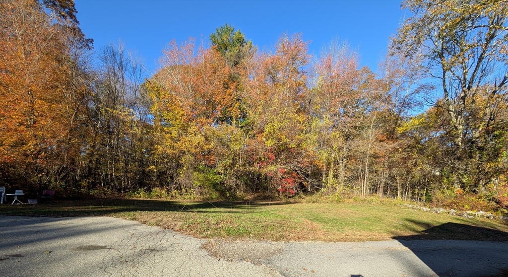 7 Little Mugget Road Charlton, MA 01507 - Photo 34 of 42 a view of a yard with a trees