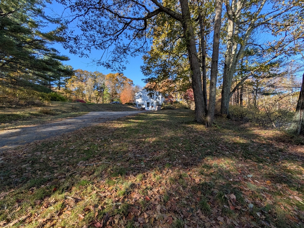 7 Little Mugget Road Charlton, MA 01507 - Photo 39 of 42 a view of dirt yard with a large tree