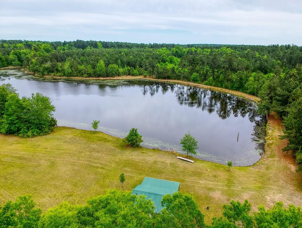 0 Munnerlyn Alexandria Road Waynesboro, GA 30830 - Photo 1 of 22 Main View