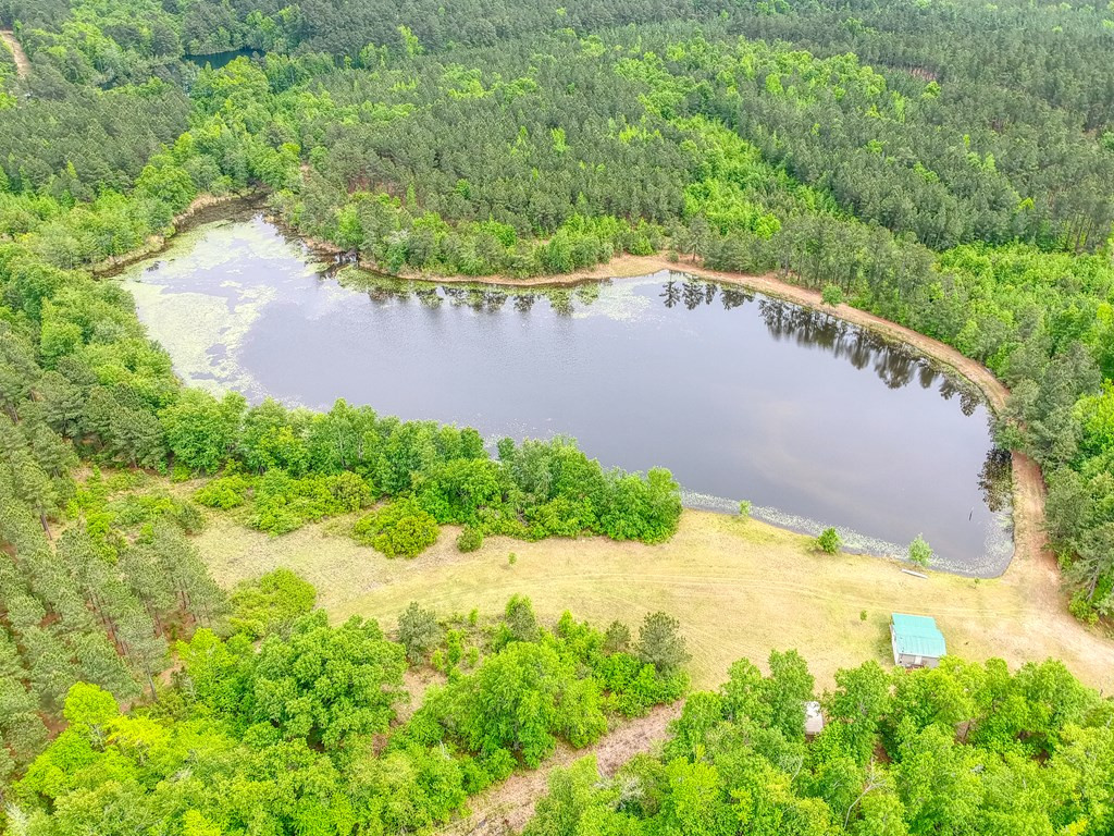 0 Munnerlyn Alexandria Road Waynesboro, GA 30830 - Photo 2 of 22