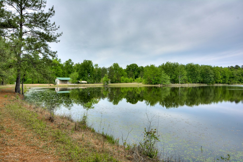 0 Munnerlyn Alexandria Road Waynesboro, GA 30830 - Photo 5 of 22