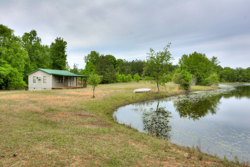 0 Munnerlyn Alexandria Road Waynesboro, GA 30830 - Photo 6 of 22