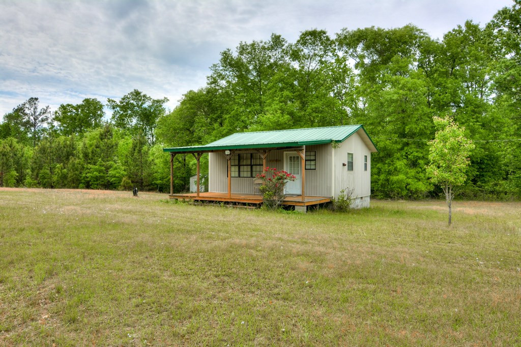 0 Munnerlyn Alexandria Road Waynesboro, GA 30830 - Photo 9 of 22
