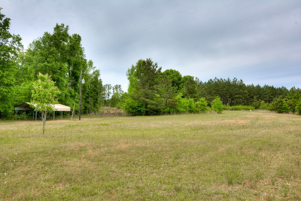 0 Munnerlyn Alexandria Road Waynesboro, GA 30830 - Photo 10 of 22