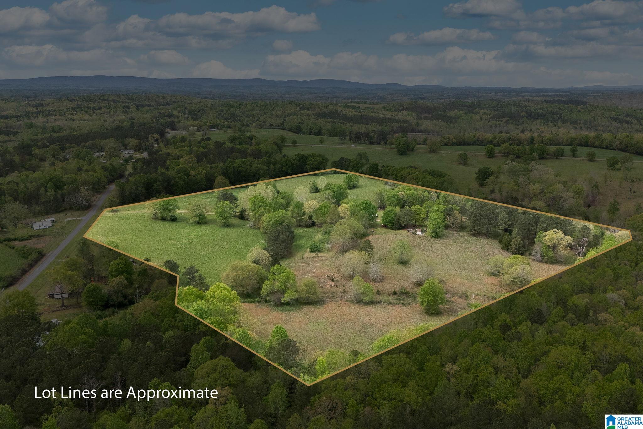1749 McCollum Church Road Lineville, AL 36266 - Photo 59 of 66