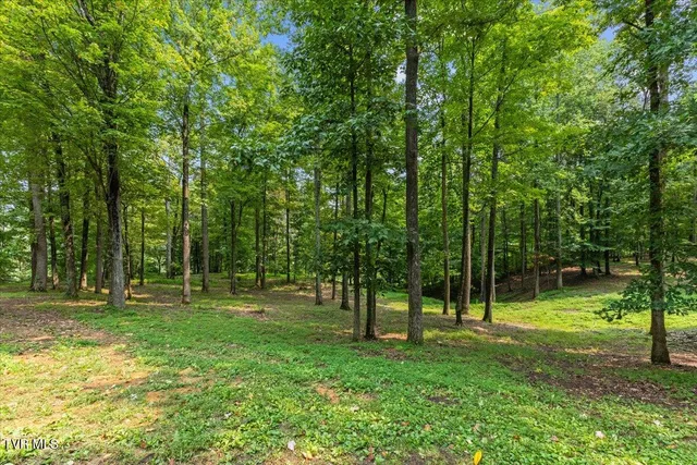 $1,499,900 | 1200 Milburnton Road, Limestone, TN 37681