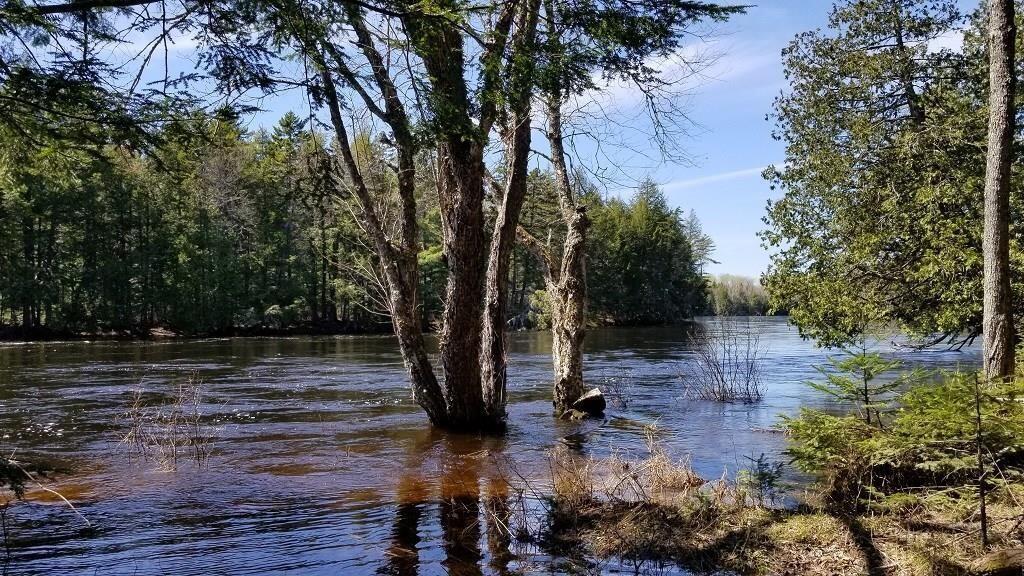 14-15 Haynes Road Wytopitlock, ME 04497 - Photo 24 of 31 River 5