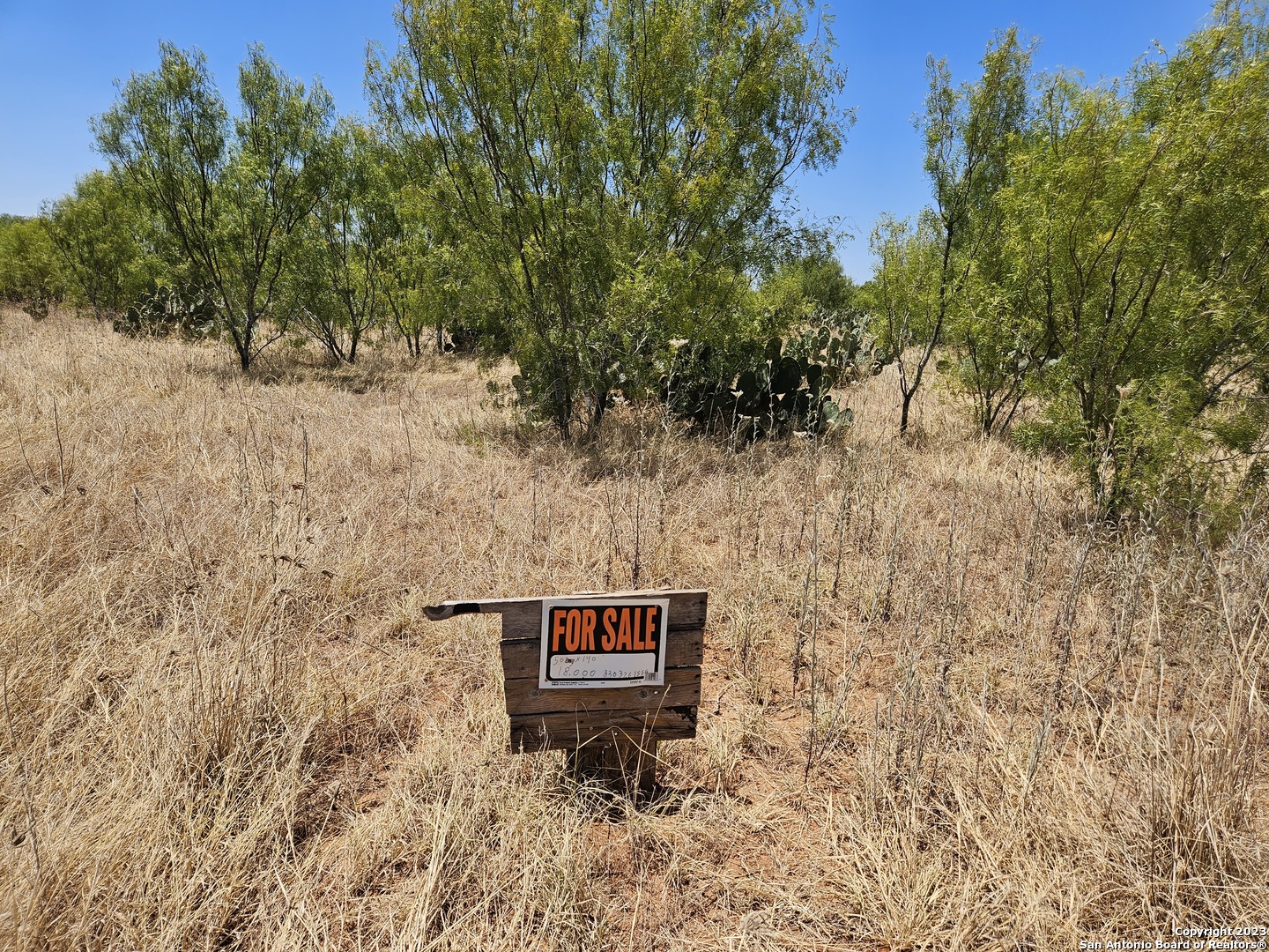 0 South Santos Dilley Tx  