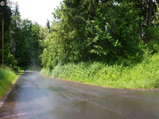 Sadie B Cascade Locks, OR 97014 - Photo 1 of 2 a view of a yard with plants and large trees