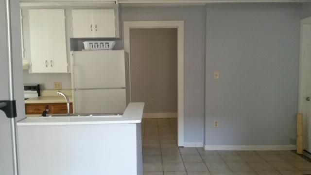 1618 Pinecrest Road Charleston, SC 29407 - Photo 9 of 9 apt kitchen3