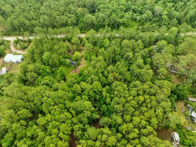 a view of a large yard with plants and large trees